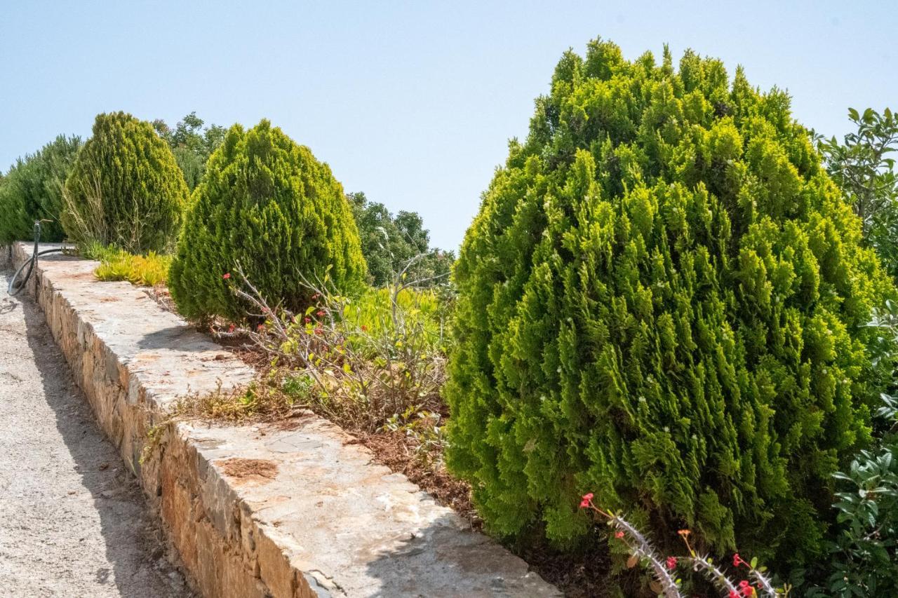 Miracle View Villas Агиос-Николаос Экстерьер фото
