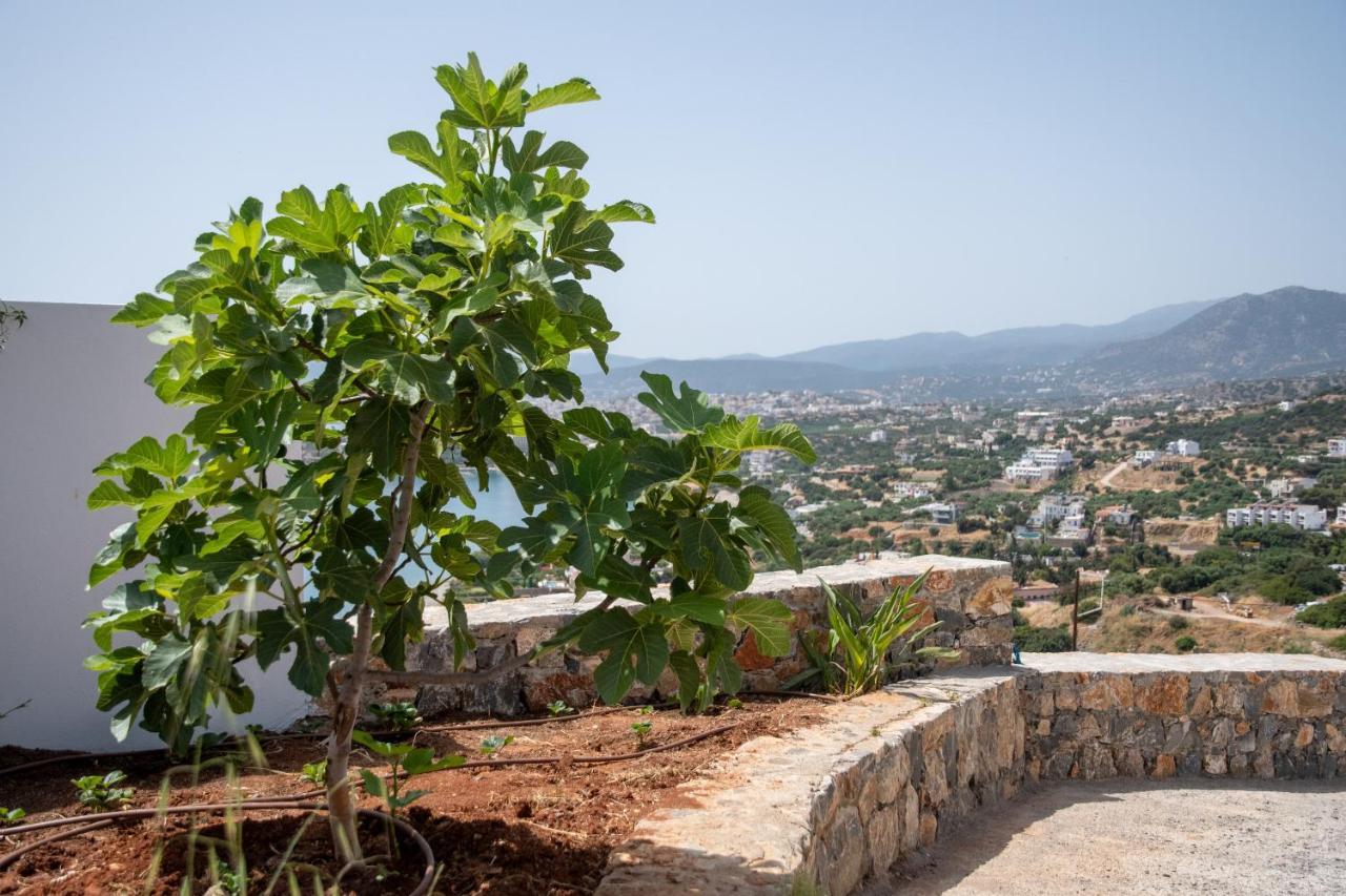Miracle View Villas Агиос-Николаос Экстерьер фото