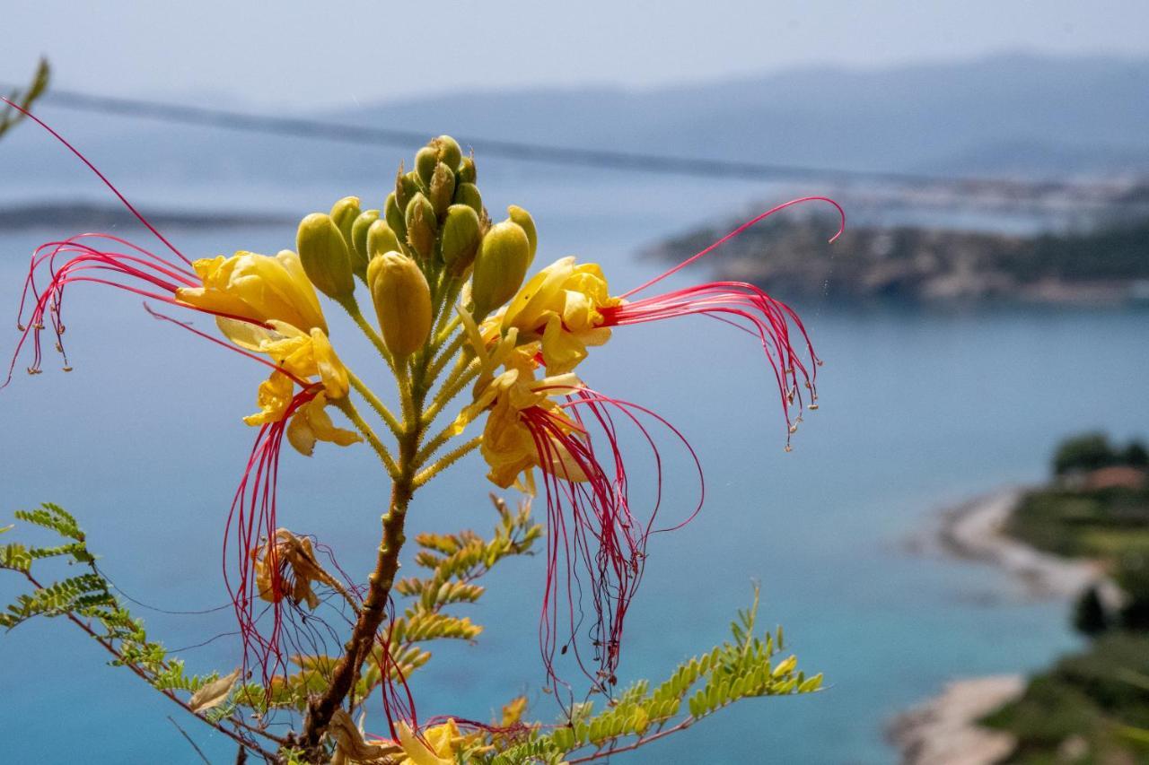 Miracle View Villas Агиос-Николаос Экстерьер фото
